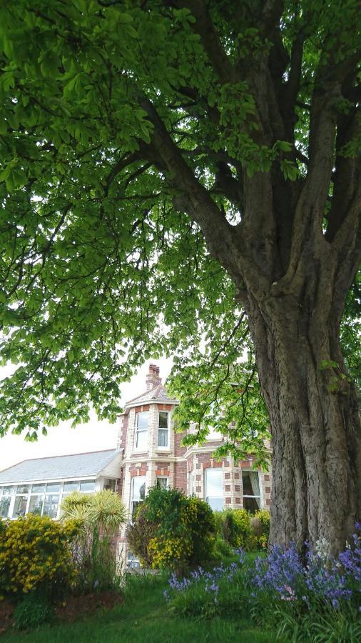 Summerhill Hotel Paignton Εξωτερικό φωτογραφία